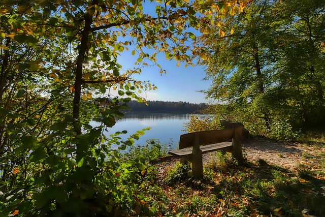 梦想之门终 梦想之门终