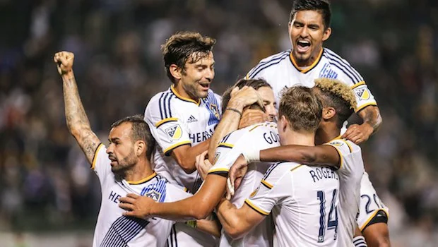 天然草场占 天然草场占