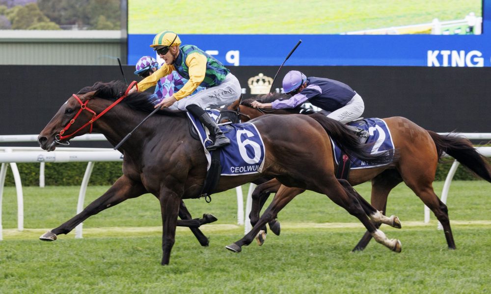 每一次言论 每一次言论